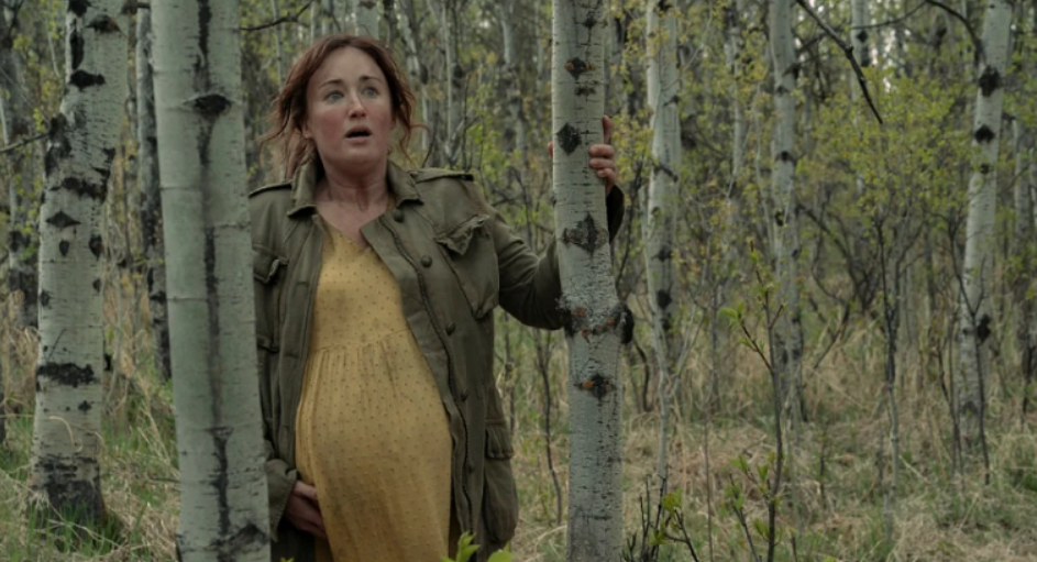 В Сети появились кадры финального эпизода The Last of Us с беременной Эшли Джонсон