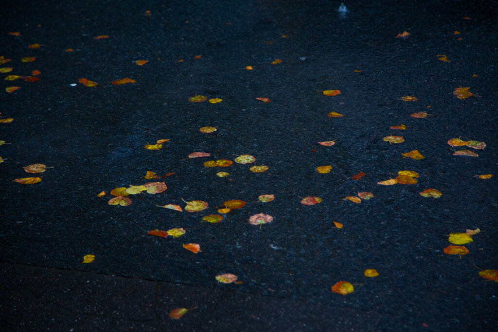 Врач Шнайдер: иглоукалывание в 2025 году стало заменой ботоксу