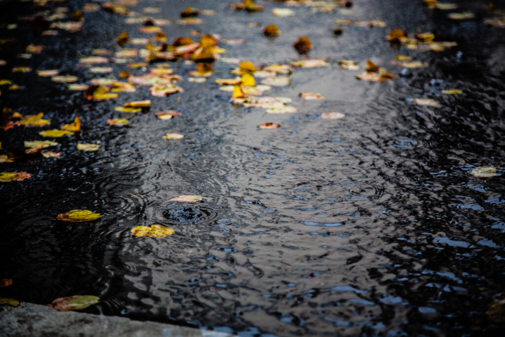 Тайке Эмсават, соблазнившей 12 монахов, предъявлено новое обвинение