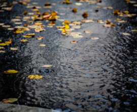 Звезда «Игры престолов» Мэйси Уильямс снялась полностью обнаженной