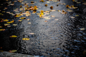Россияне массово отравились во Вьетнаме из-за нечистот в море