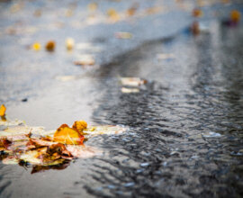 Ученые разгадали многовековую загадку дома Шекспира в Лондоне