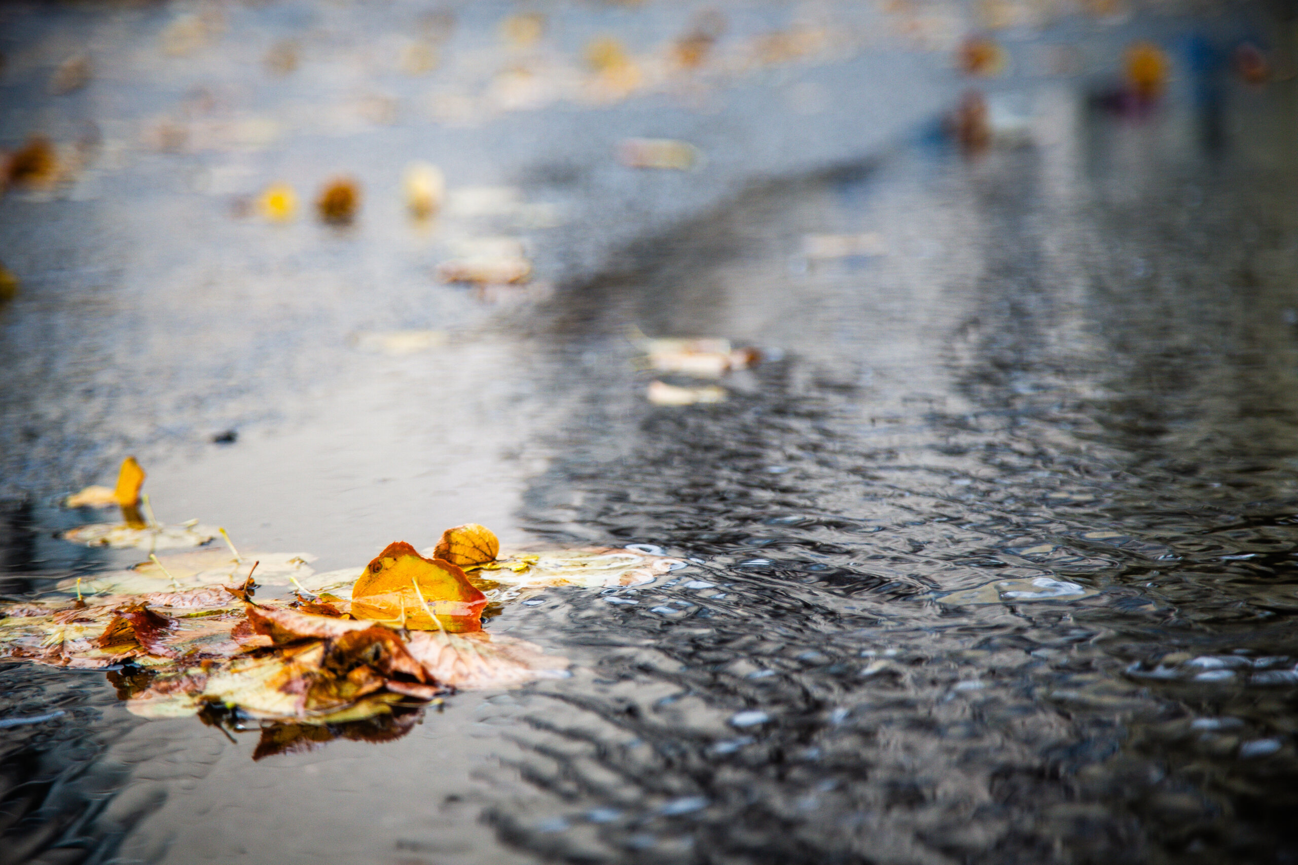 Ученые разгадали многовековую загадку дома Шекспира в Лондоне