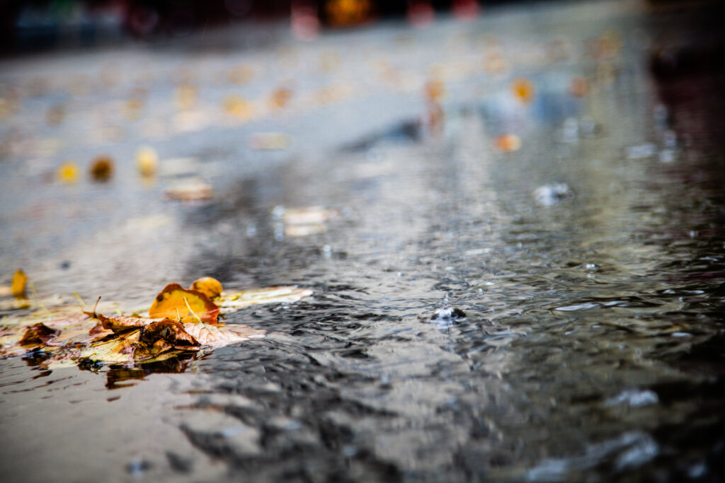 Виктория Бекхэм намерена отомстить невестке за разрушение отношений с сыном