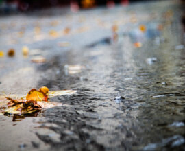 Певец Филипп Киркоров рассказал, о чем жалеет в жизни