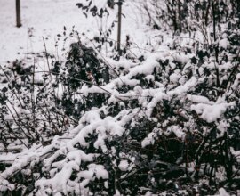 Bild: подросток не выжил на горнолыжном курорте Фойеркогель в Австрии