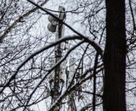 Онколог Ивашков заявил о распространении в конце февраля гриппа B