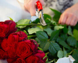 Студия Никиты Михалкова показала первые фото фильма «Королева Анна» с Безруковым