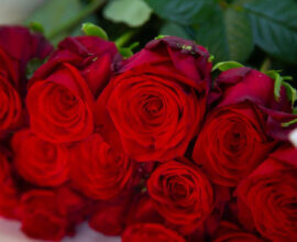 Анна Семенович устроила своему возлюбленному жаркий день рождения