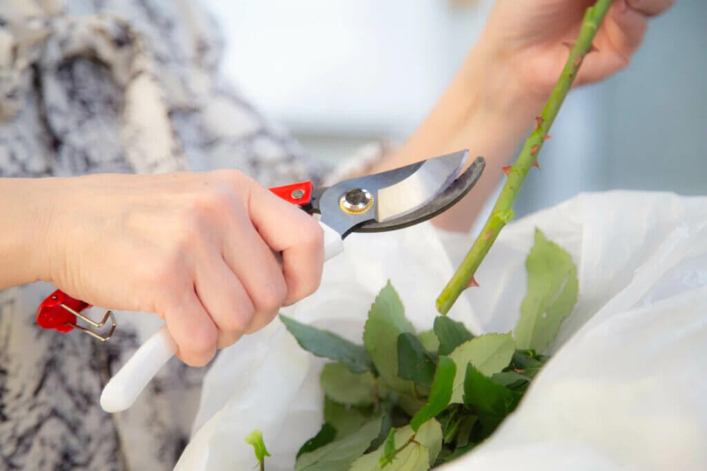 Психолог Романив: низкая концентрация внимания связана с осенней депрессией