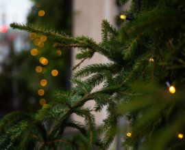 67-летняя Мадонна устроила горячую фотосессию у елки со своим бойфрендом