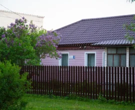 Юрист Хаминский: выращивание мака и голубого лотоса на даче грозит тюрьмой