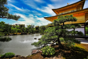 OneTwoTrip: Япония оказалась самой популярной страной для отдыха россиян